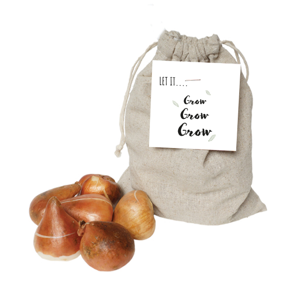 Linen bags flower bulbs